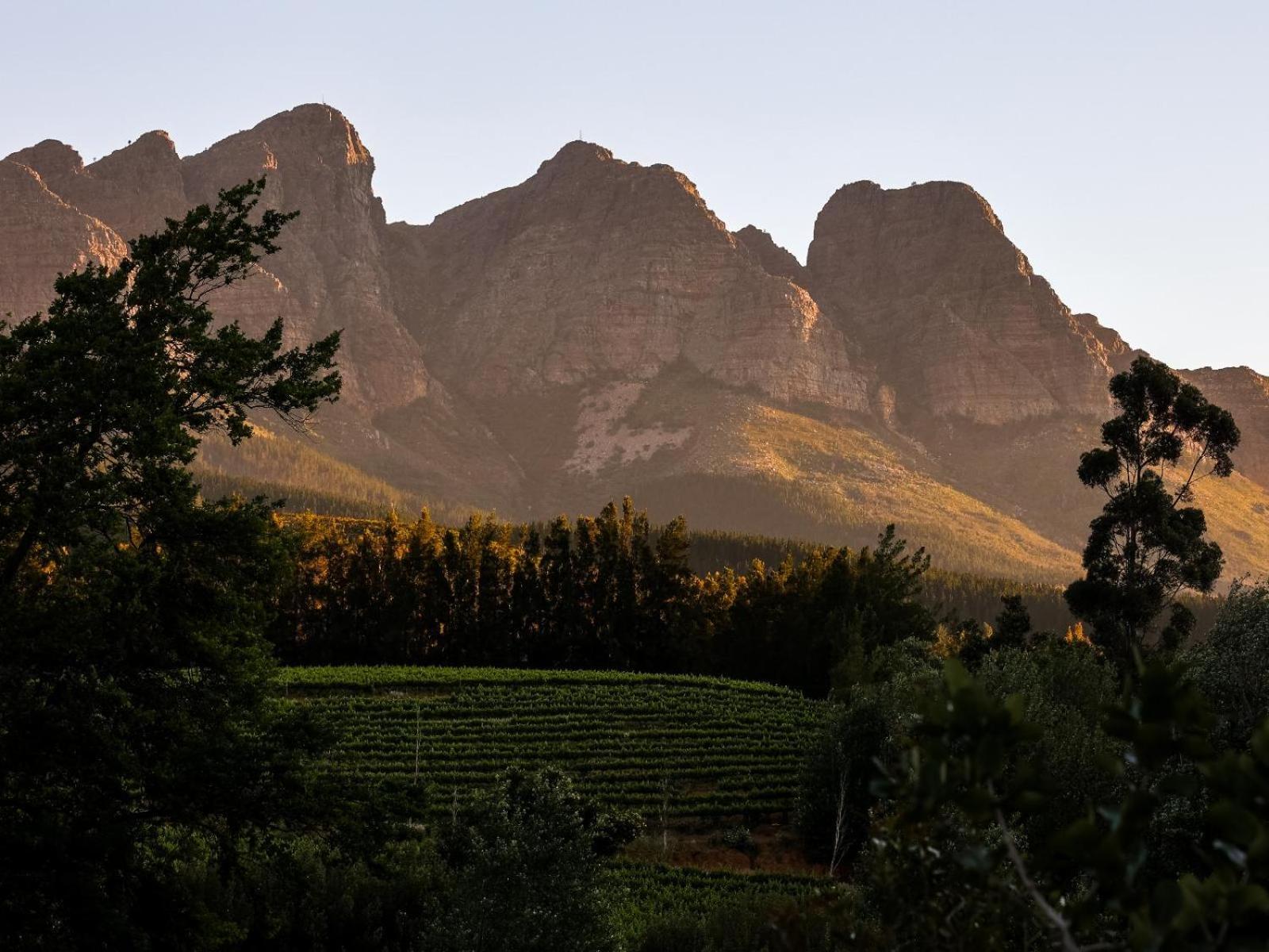 Africamps At Doolhof Wine Estate Villa Wellington Exterior photo