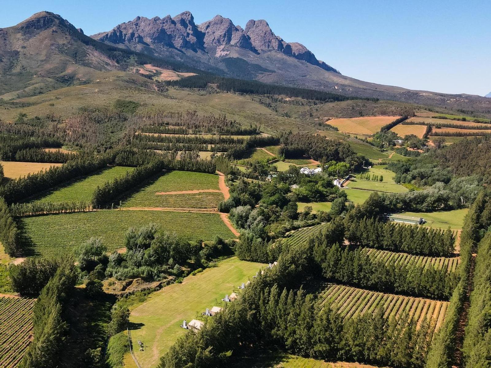 Africamps At Doolhof Wine Estate Villa Wellington Exterior photo